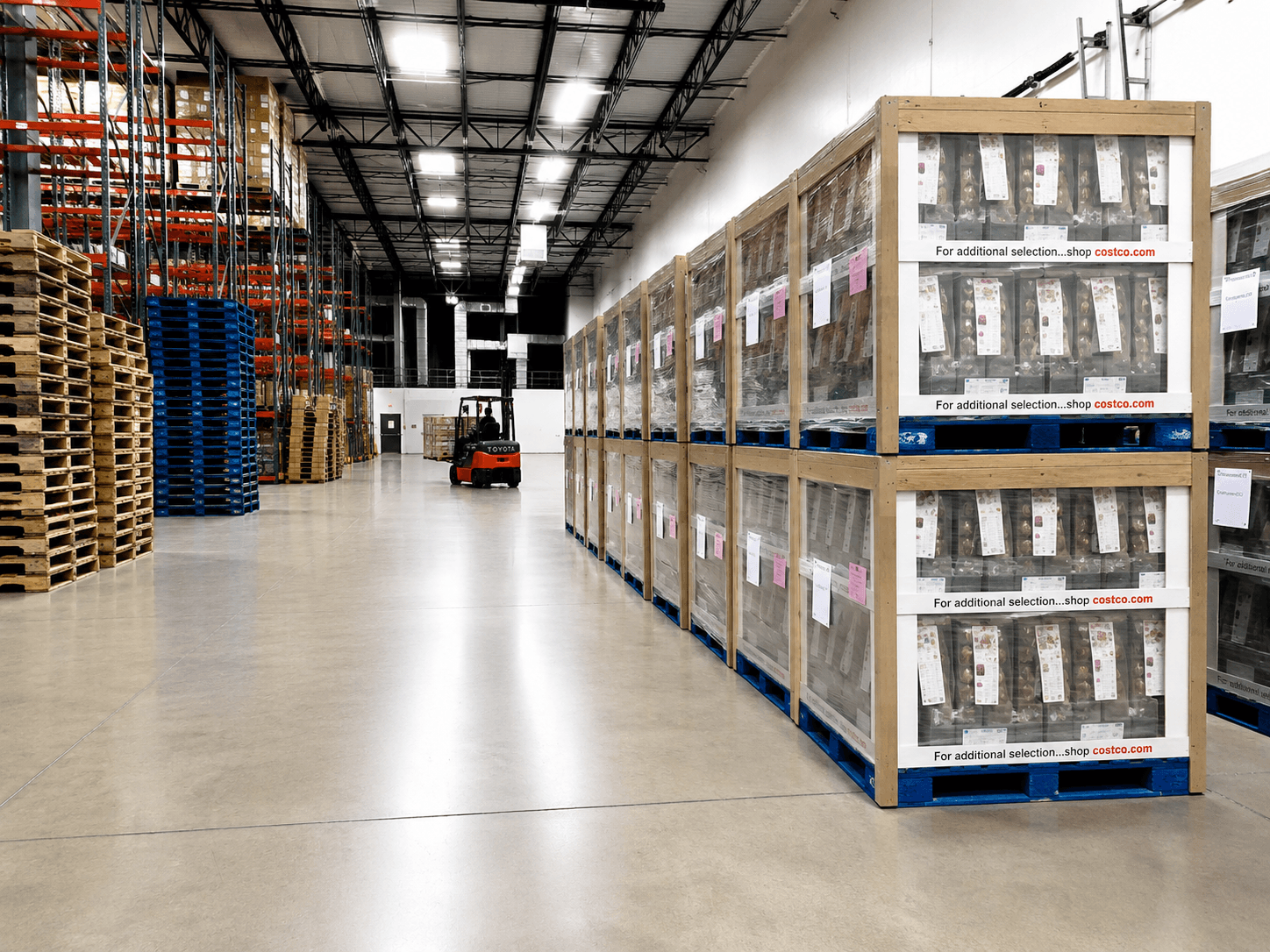 Supply Chain & Sourcing